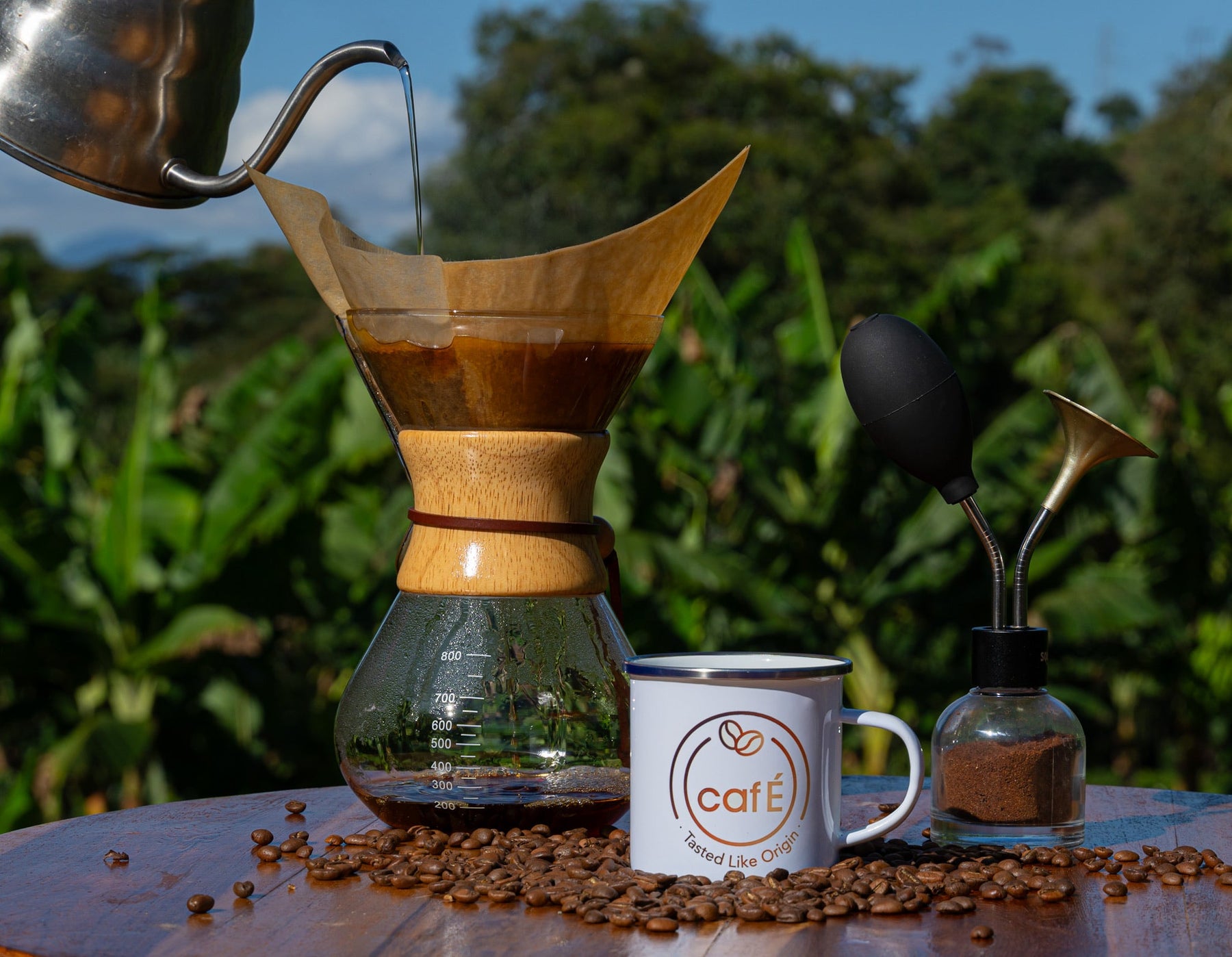 Find Your Perfect Brew