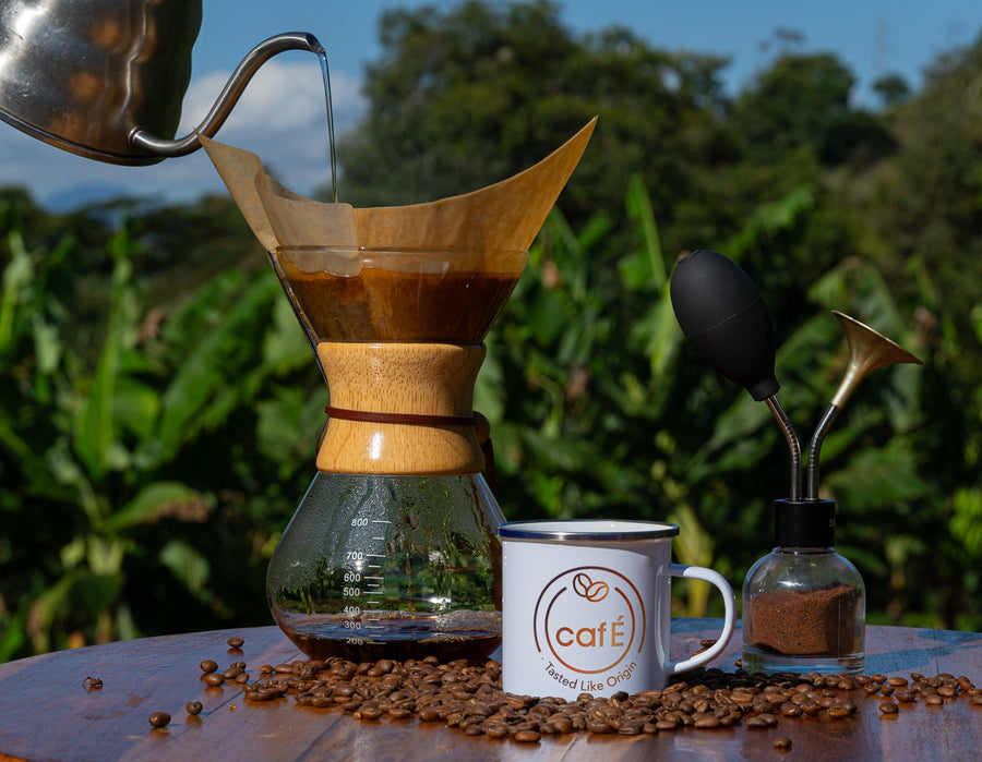 Find Your Perfect Brew