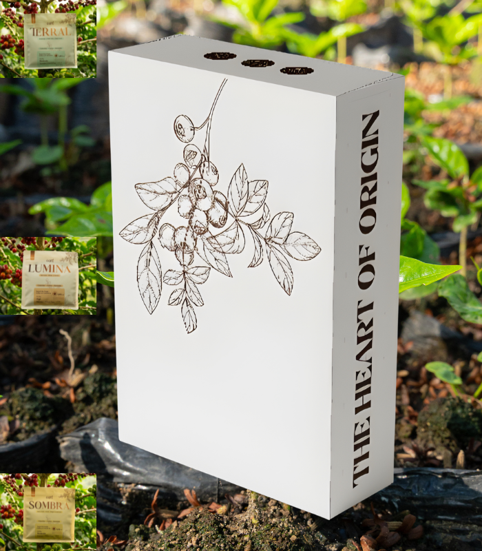 The Heart of Origin Box