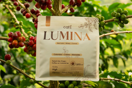 LUMINA – Specialty floral coffee