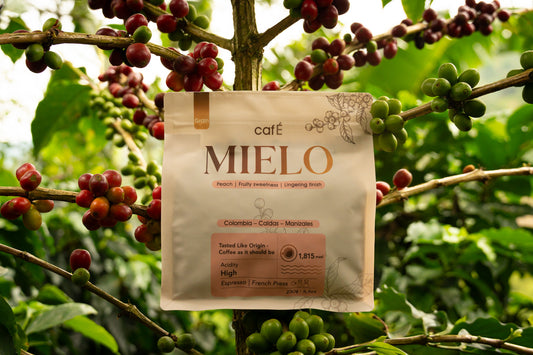 “Café MIELO – Arabica with notes of honey and citrus”
