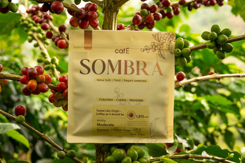SOMBRA