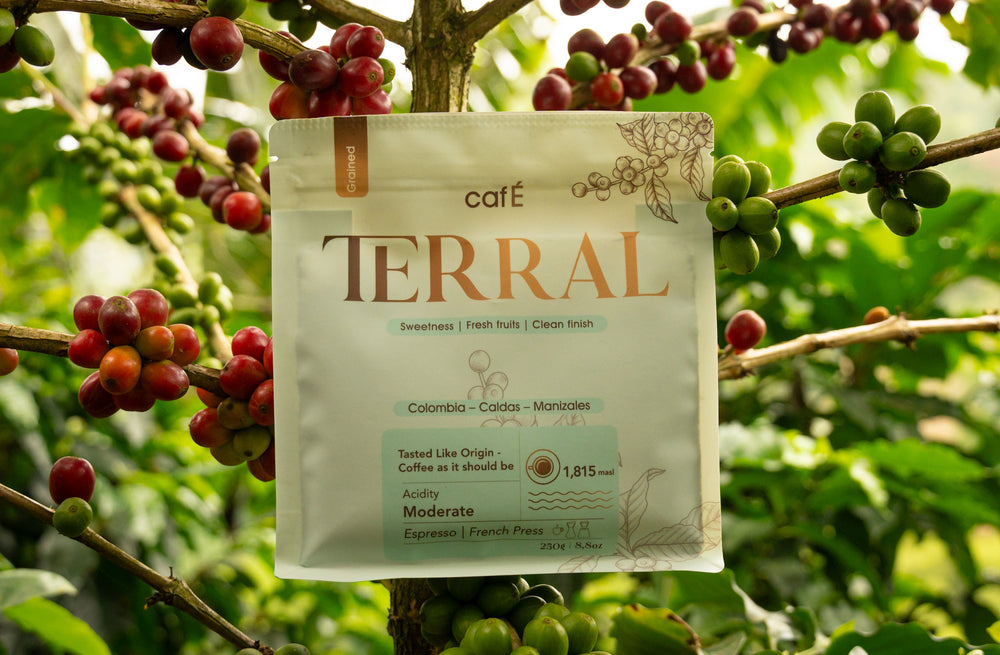TERRAL