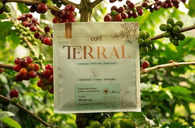 TERRAL – Balanced specialty coffee