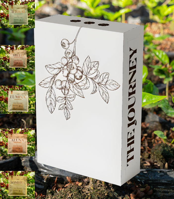Coffee packaging with 'cafe &' branding on a beige background